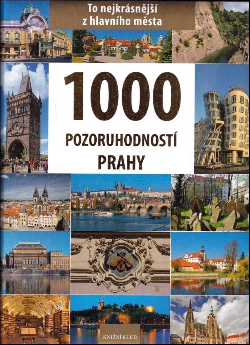 1000 pozoruhodností Prahy (Petr David, 2010)