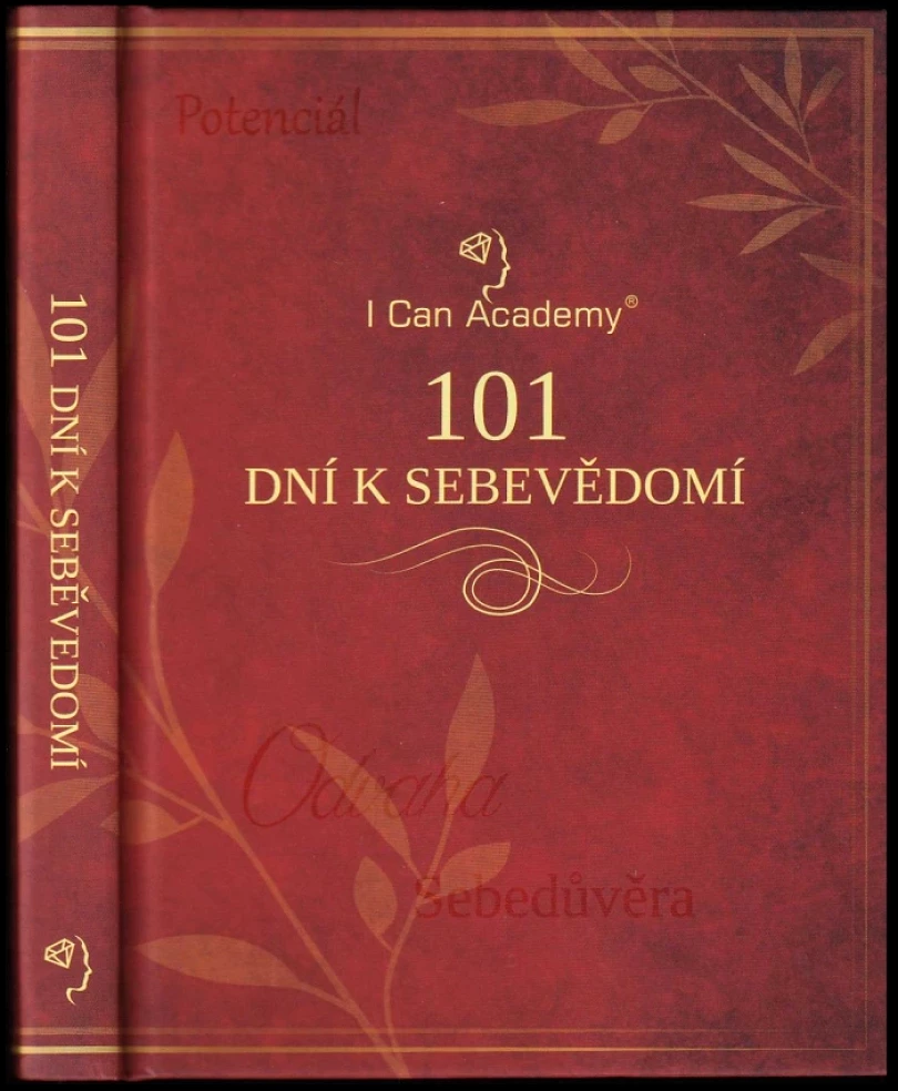 101 dní k sebevědomí (Michal Hrehuš, 2018)