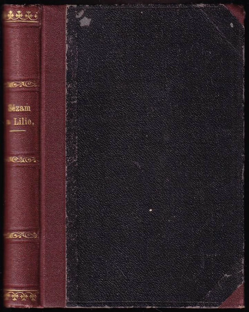 Levně 2 díla v 1 svazku : Sézam a lilie + Koruna z plané olivy (John Ruskin, 1900)