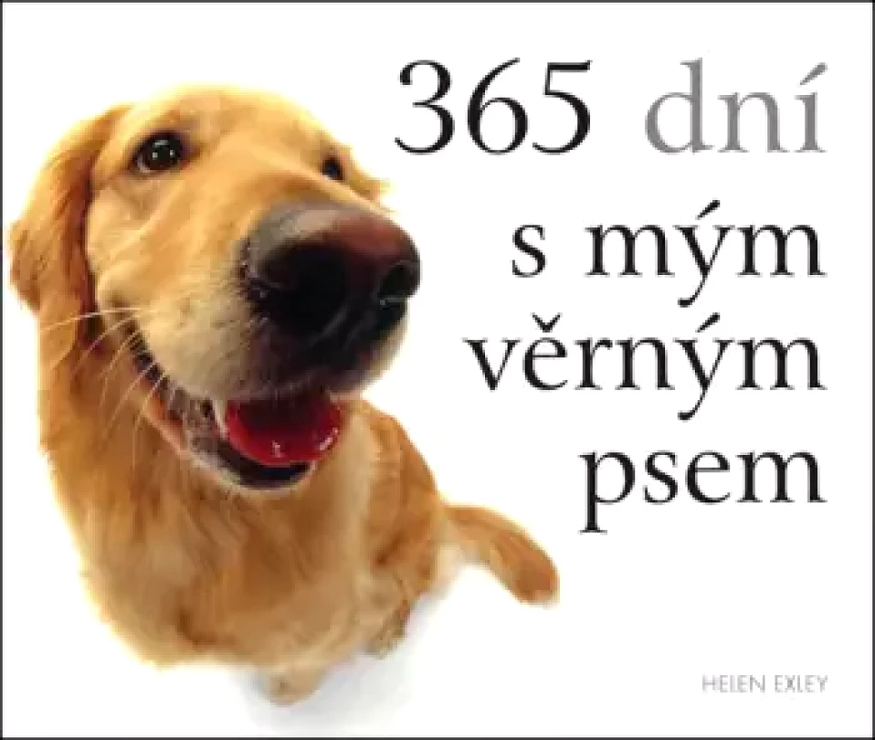 Levně 365 dní s mým věrným psem (Helen Exley, 2024)