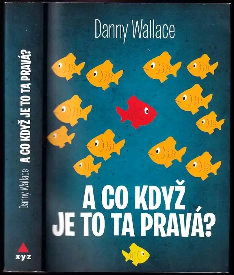 Levně A co když je to ta pravá? (Danny Wallace, 2015)
