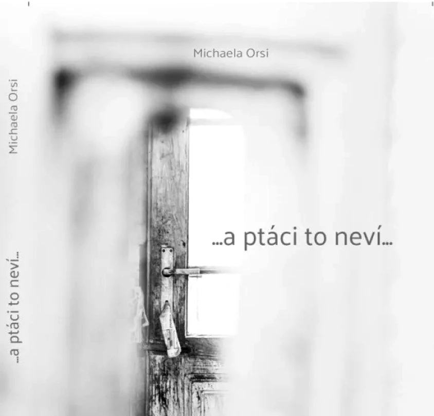 a ptáci to neví (Michaela Orsi, 2022)