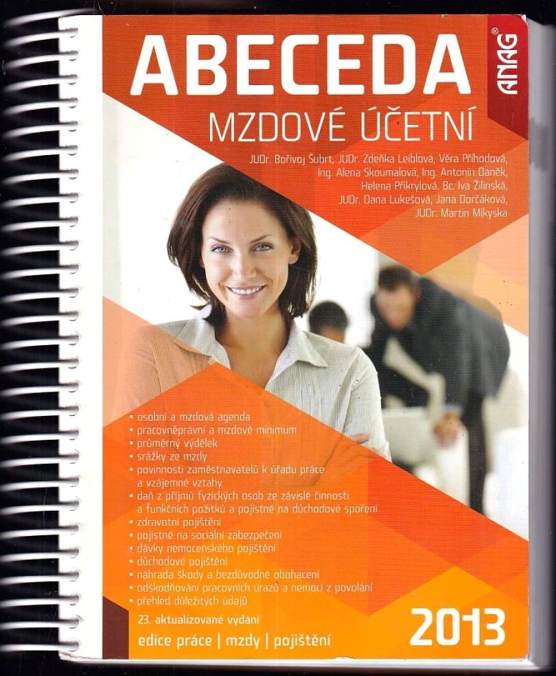 Levně Abeceda mzdové účetní 2013 (Bořivoj Šubrt, 2013)