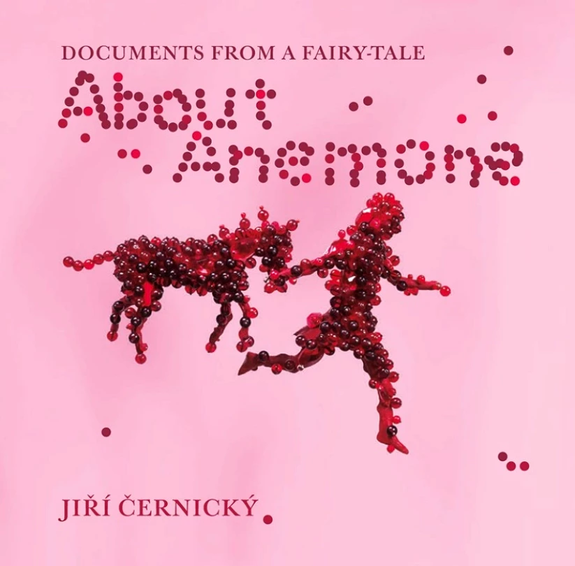 About Anemone: O Sasance (anglicky) (Černický Jiří, 2020)