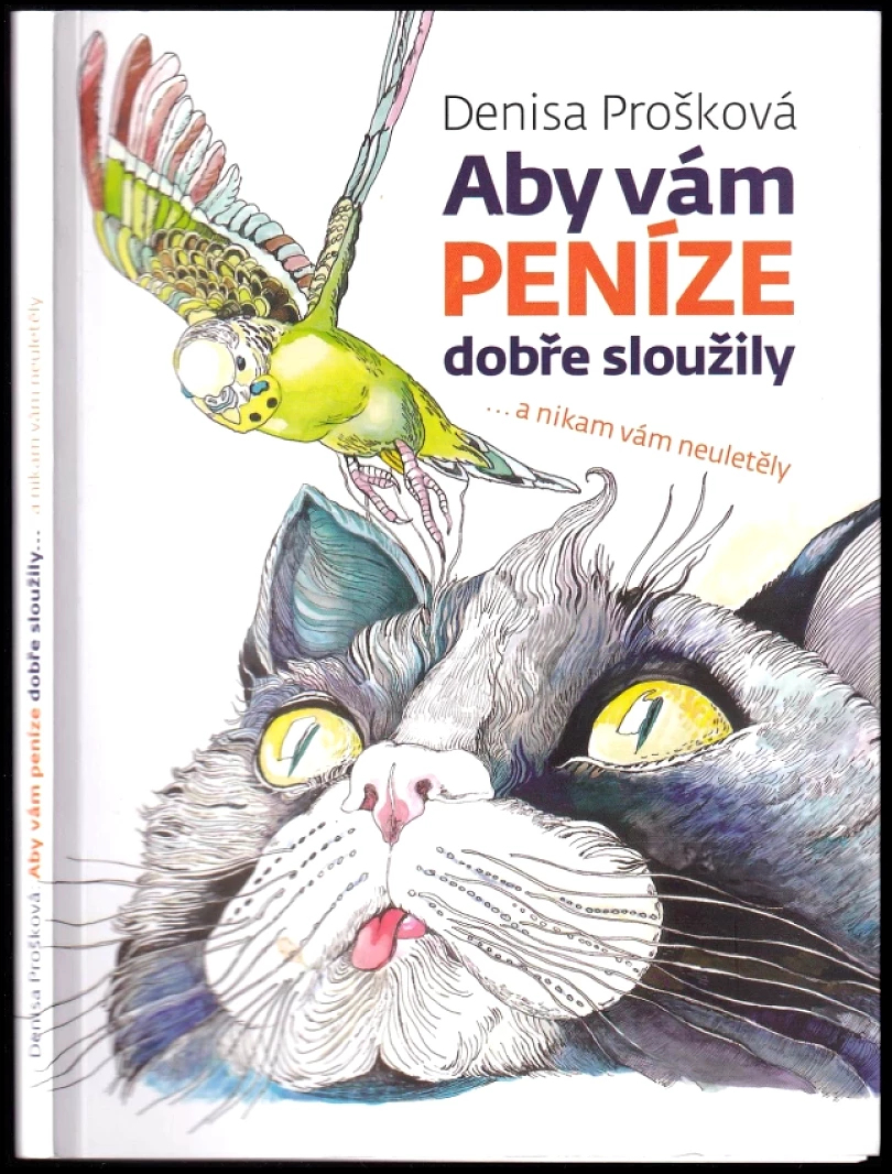 Levně Aby vám peníze dobře sloužily (Denisa Prošková, 2015)