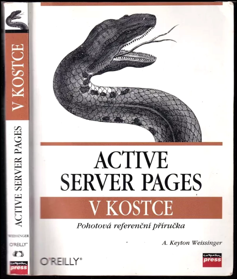 Active Server Pages v kostce (A. Keyton Weissinger, 1999)