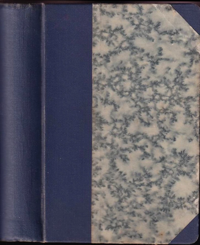 Levně Adolf Heyduk - TŘI DÍLA V JEDNOM SVAZKU: Dřevorubec + Pod Vítkovým kamenem + Ritornelly (Adolf Heyduk, 1900)