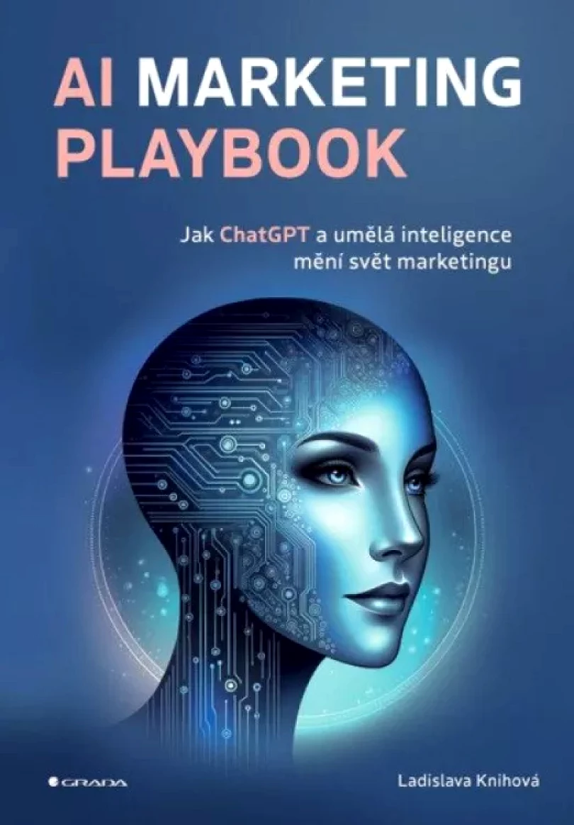 AI marketing playbook (Ladislava Knihová, 2024)