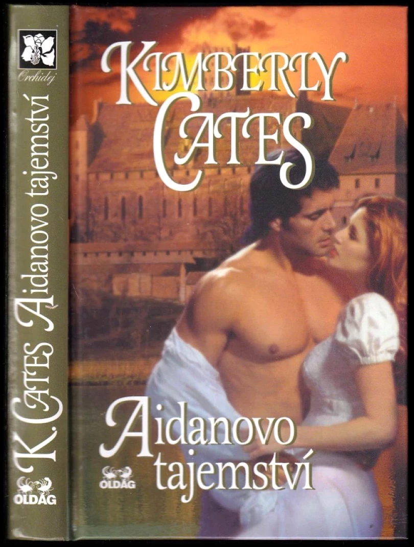Levně Aidanovo tajemství (Kimberly Cates, 2002)