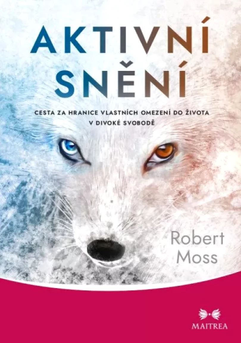 Levně Aktivní snění (Robert Moss, 2021)