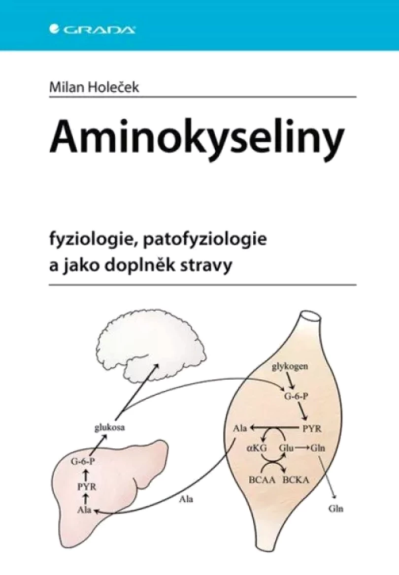 Levně Aminokyseliny (Milan Holeček, 2023)
