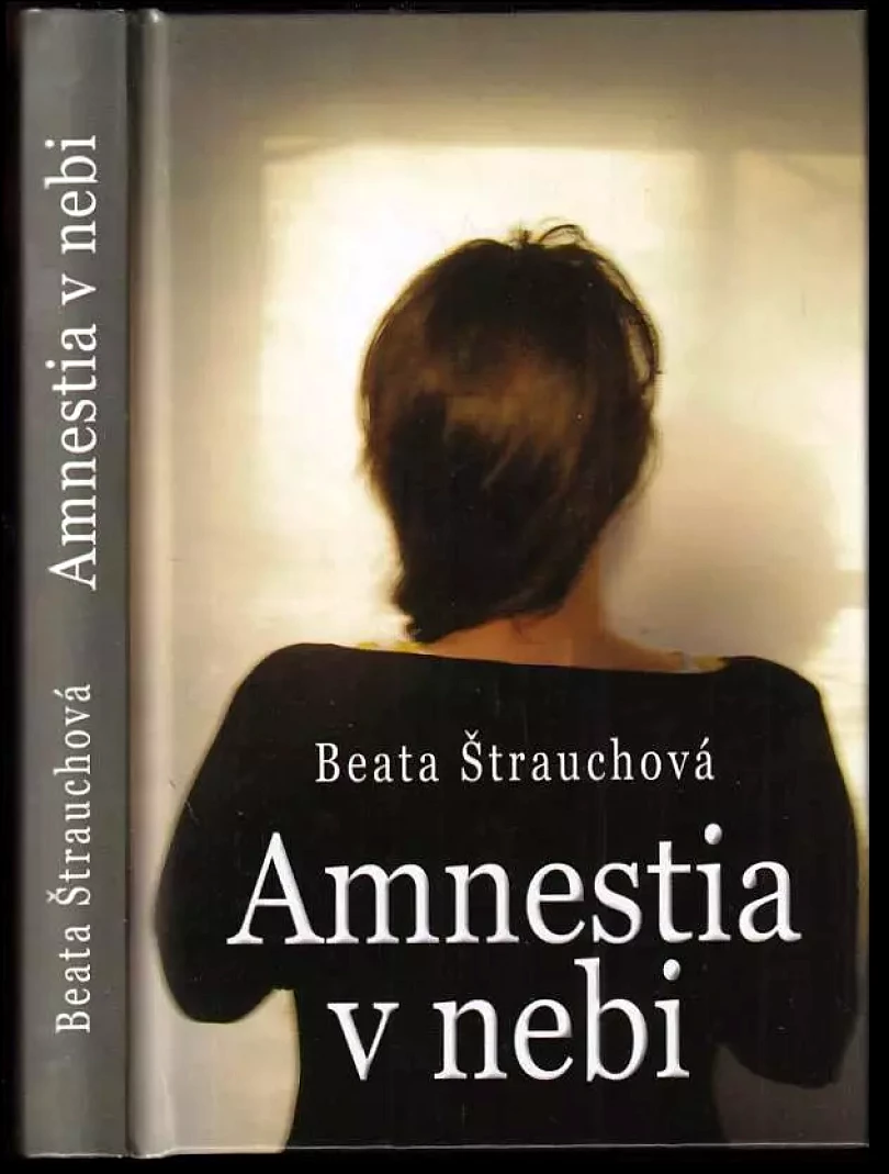 Levně Amnestia v nebi (Beata Štrauchová, 2011)