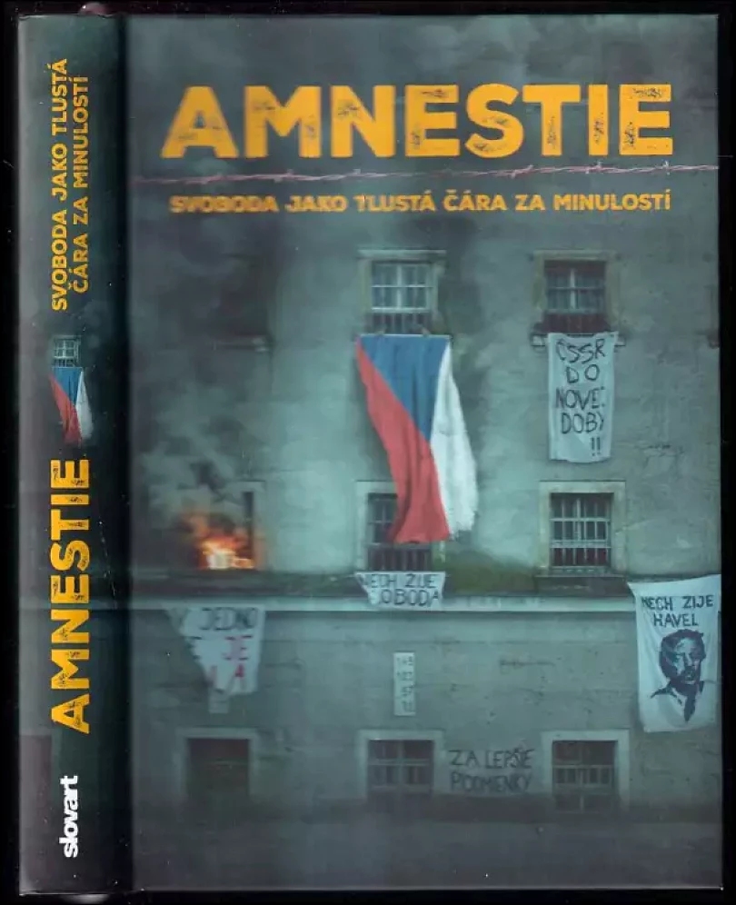 Levně Amnestie: Svoboda jako tlustá čára za minulostí (, 2019)