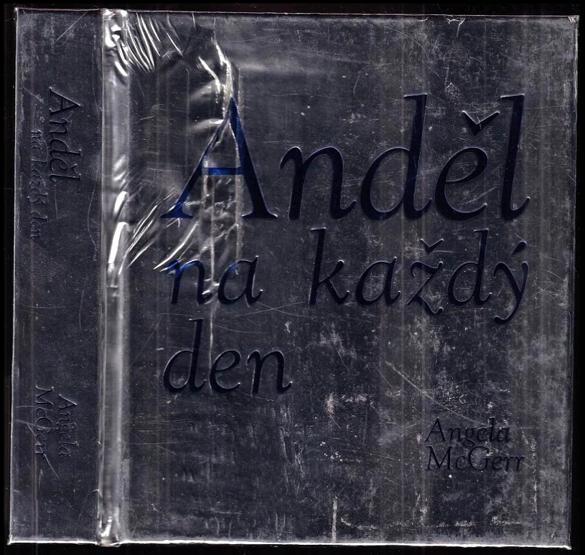Levně Anděl na každý den (Angela McGerr, 2009)