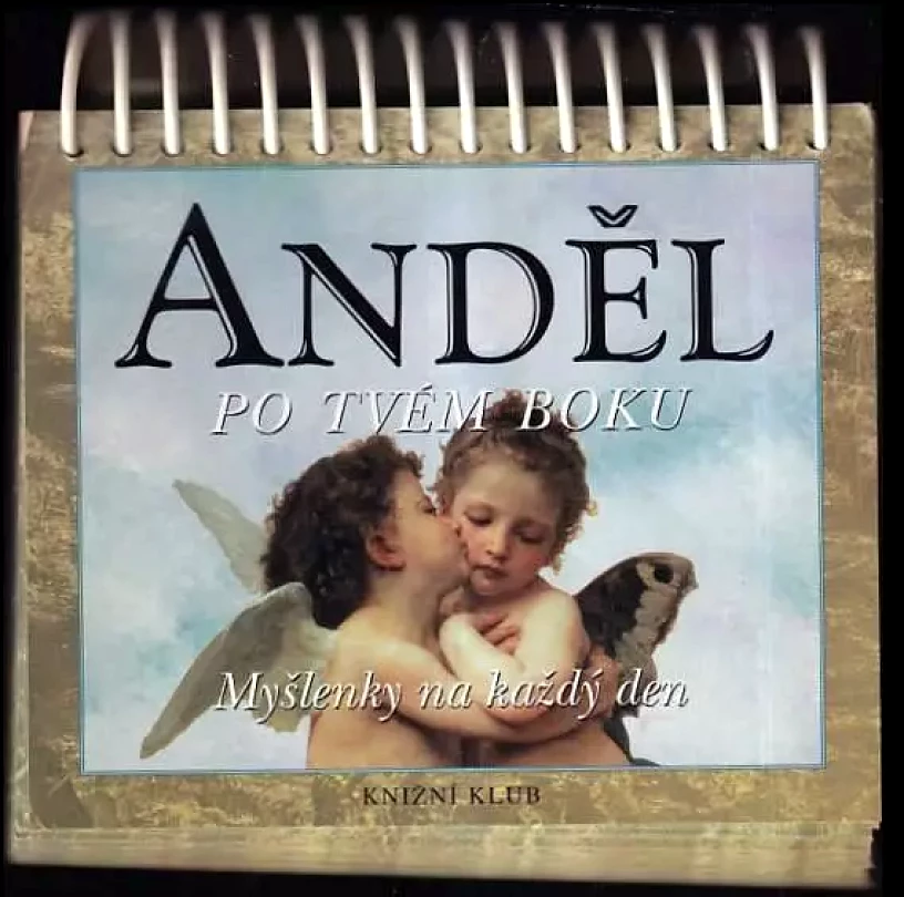 Anděl po tvém boku (, 2008)