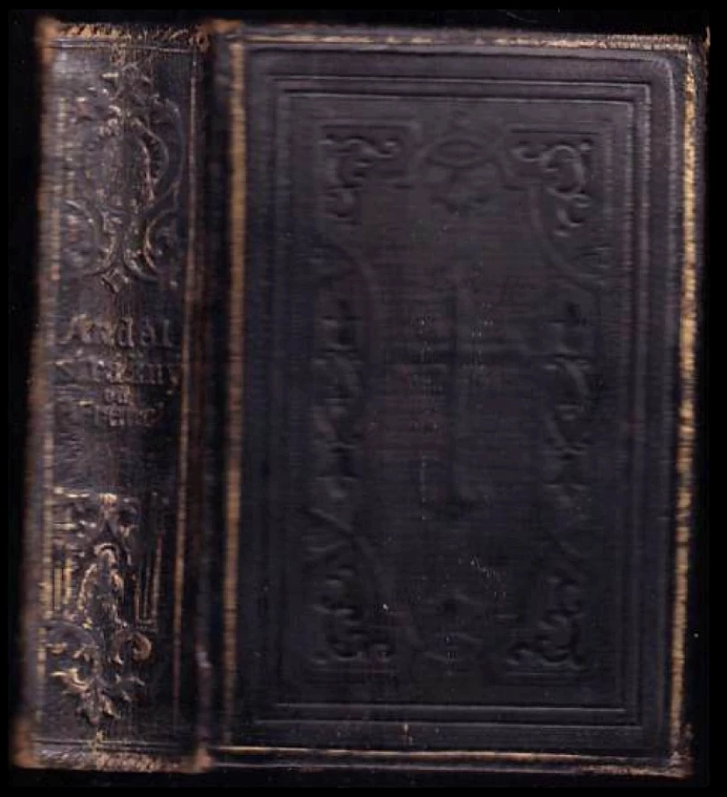 Anděl strážný (Innocenc Antonín Frencl, 1870)