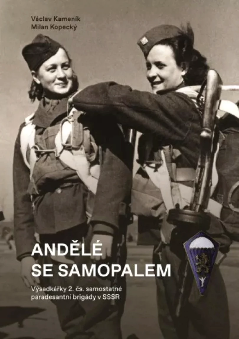 Andělé se samopalem (Václav Kameník, 2021)