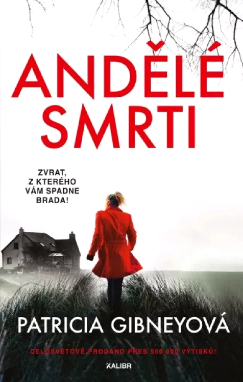 Andělé smrti (Patricia Gibney, 2024)