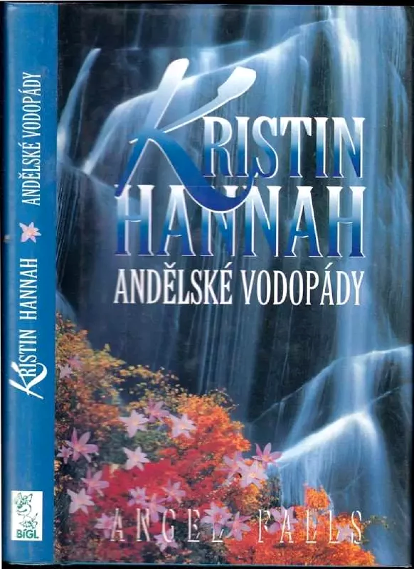 Levně Andělské vodopády (Kristin Hannah, 2000)