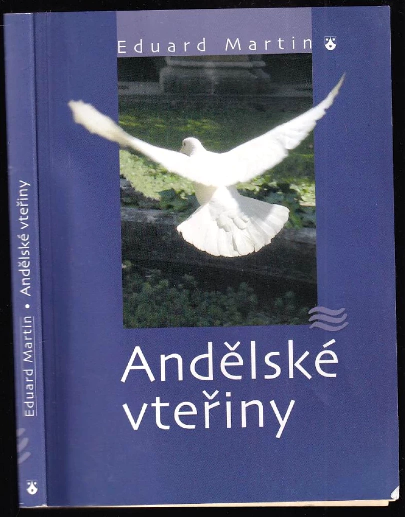 Levně Andělské vteřiny (Eduard Martin, 2005)