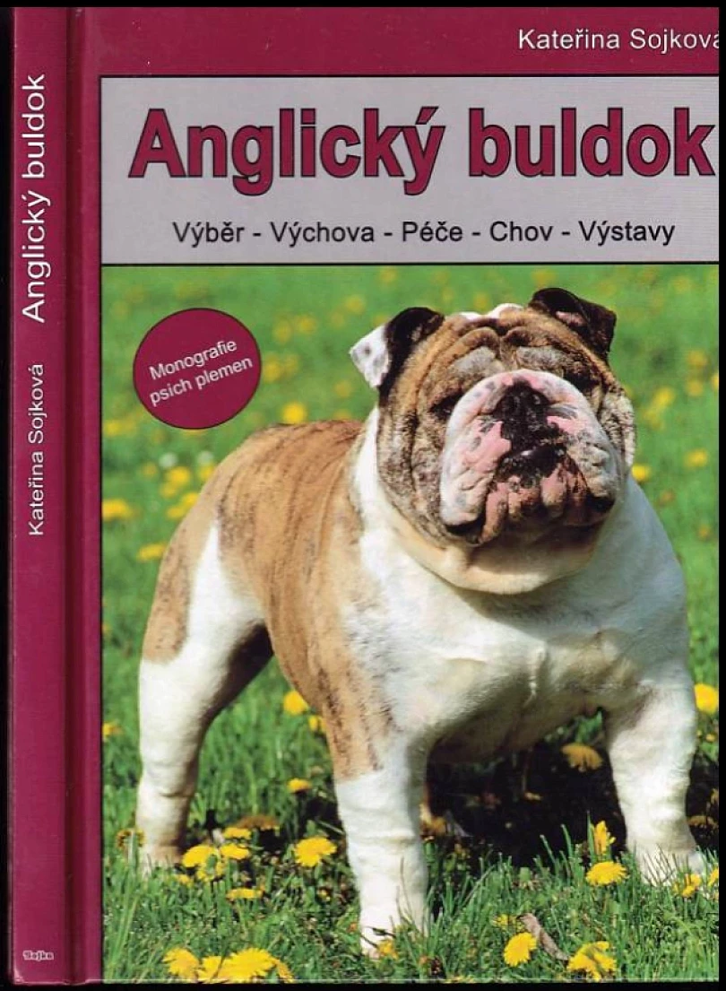 Anglický buldok (Kateřina Sojková, 2001)