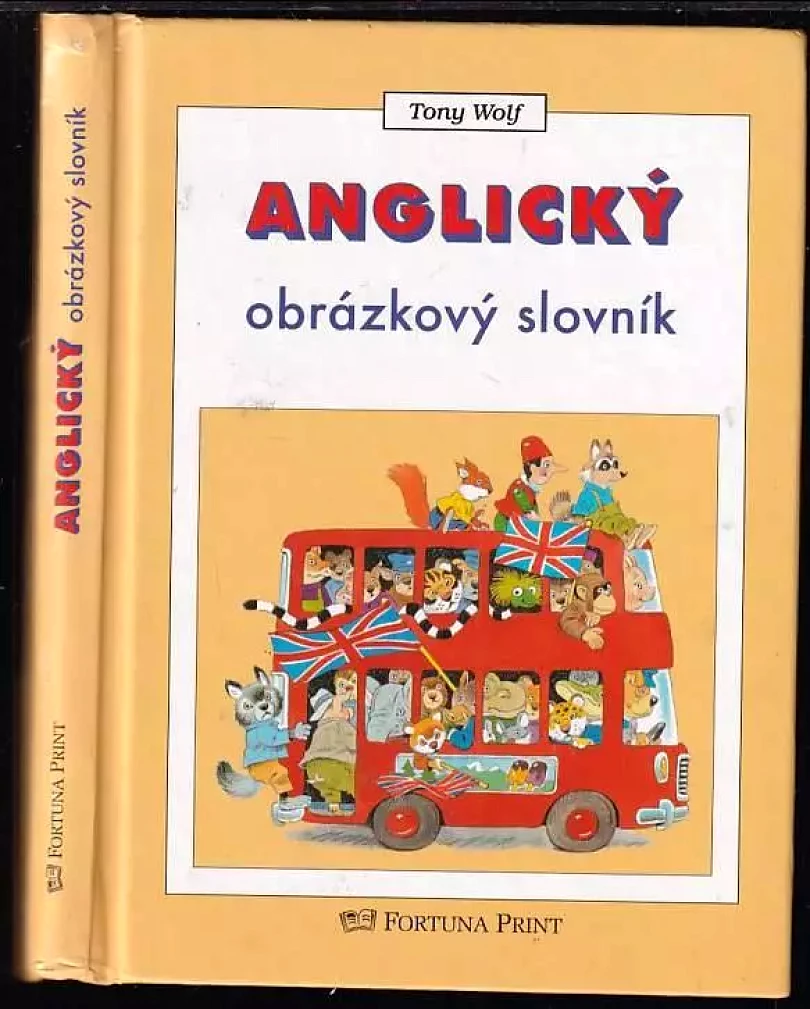 Levně Anglický obrázkový slovník (Tony Wolf, 2002)