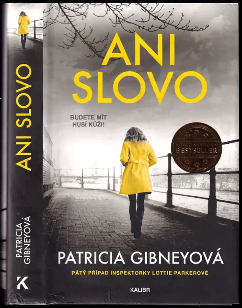 Levně Ani slovo (Patricia Gibney, 2022)