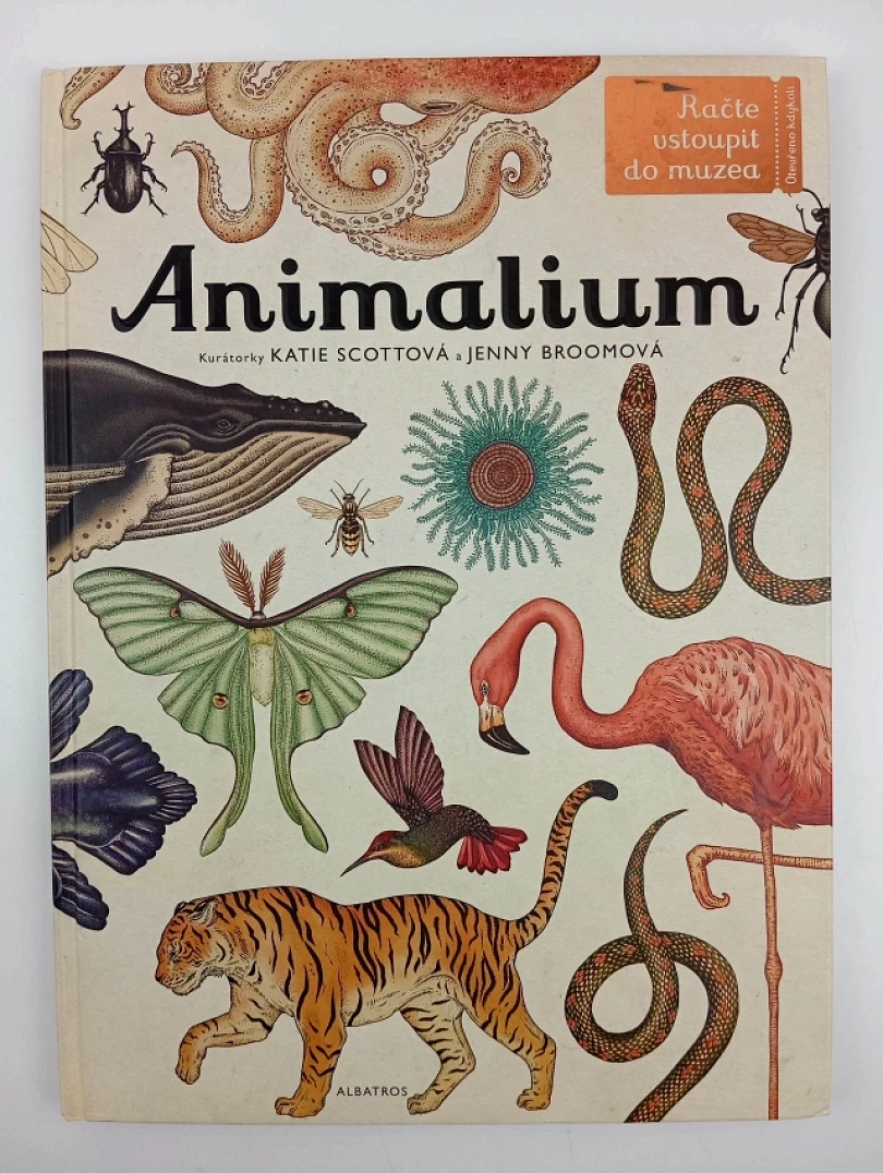 Levně Animalium (Jenny Broom, 2016)