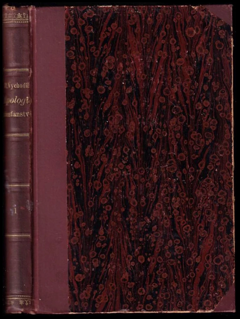 Levně Apologie křesťanství (Pavel Julius Vychodil, 1893)