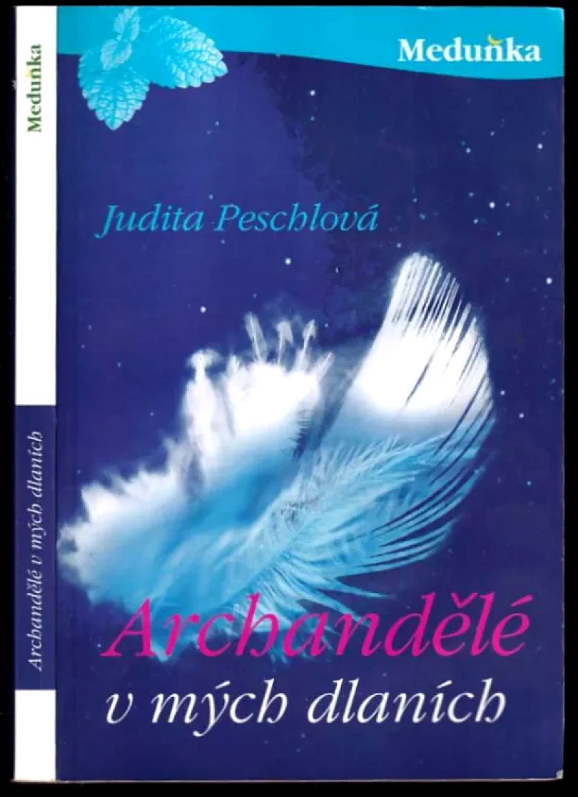 Levně Archandělé v mých dlaních (Judita Peschlová, 2013)