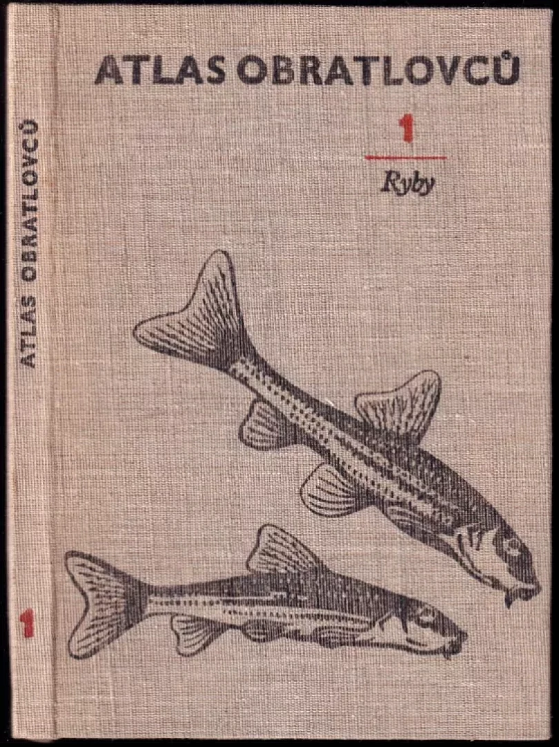 Levně Atlas obratlovců (Otakar Štěpánek, 1967)