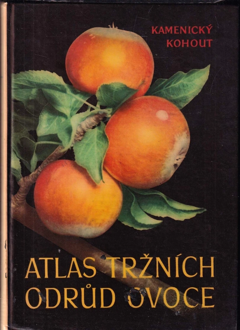 Levně Atlas tržních odrůd ovoce (Karel Kohout, 1958)