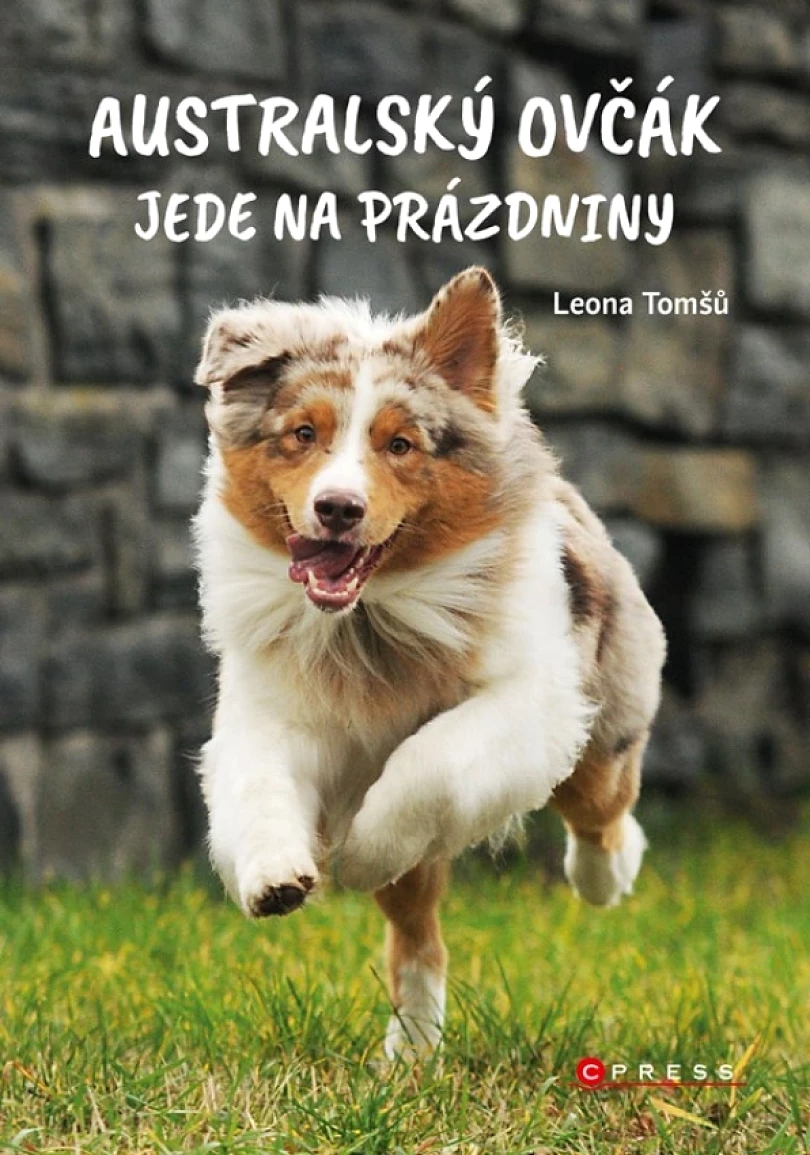 Australský ovčák jede na prázdniny (Leona Tomšů, 2024)