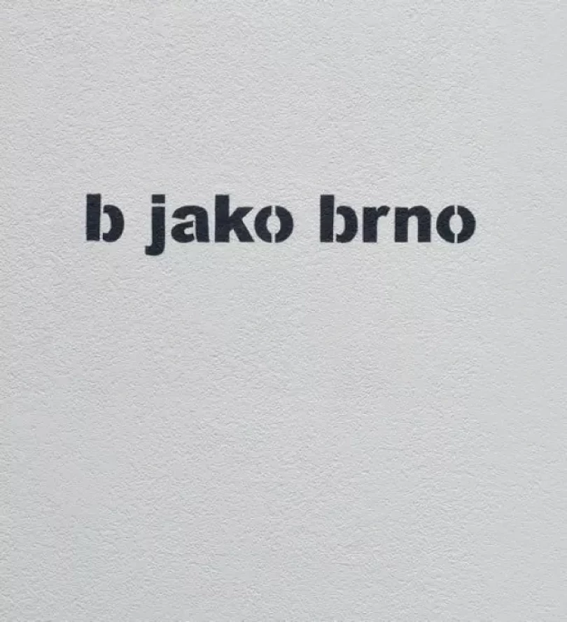 B jako Brno (Timo, 2019)