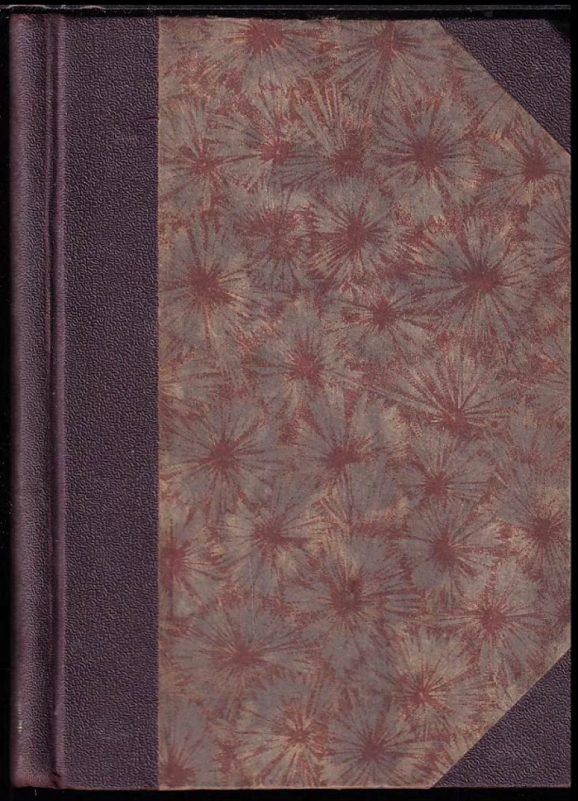 Levně Ballada o žaláři v Readingu (Oscar Wilde, 1901)