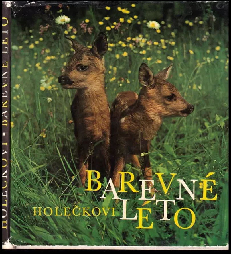 Levně Barevné léto (Jaroslav Holeček, 1974)