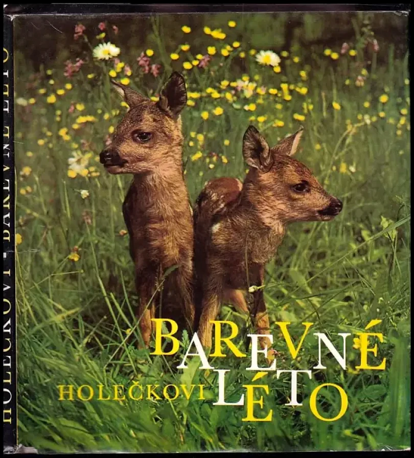 Levně Barevné léto (Jaroslav Holeček, 1978)