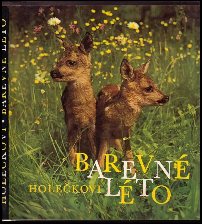 Barevné léto (Jaroslav Holeček, 1983)