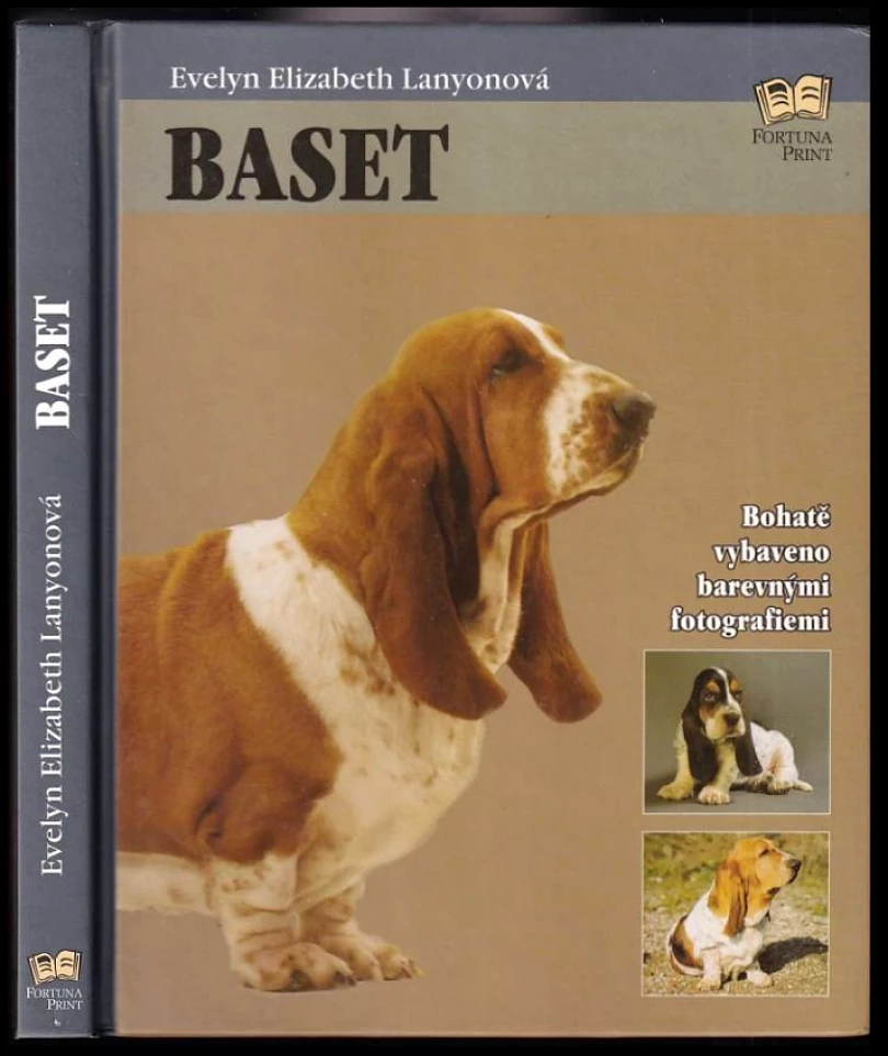 Levně Baset (Elizabeth Lanyon, 2005)