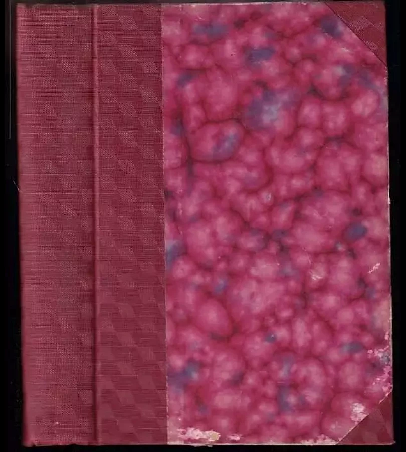 Levně Bastard (Josef Hais Týnecký, 1923)