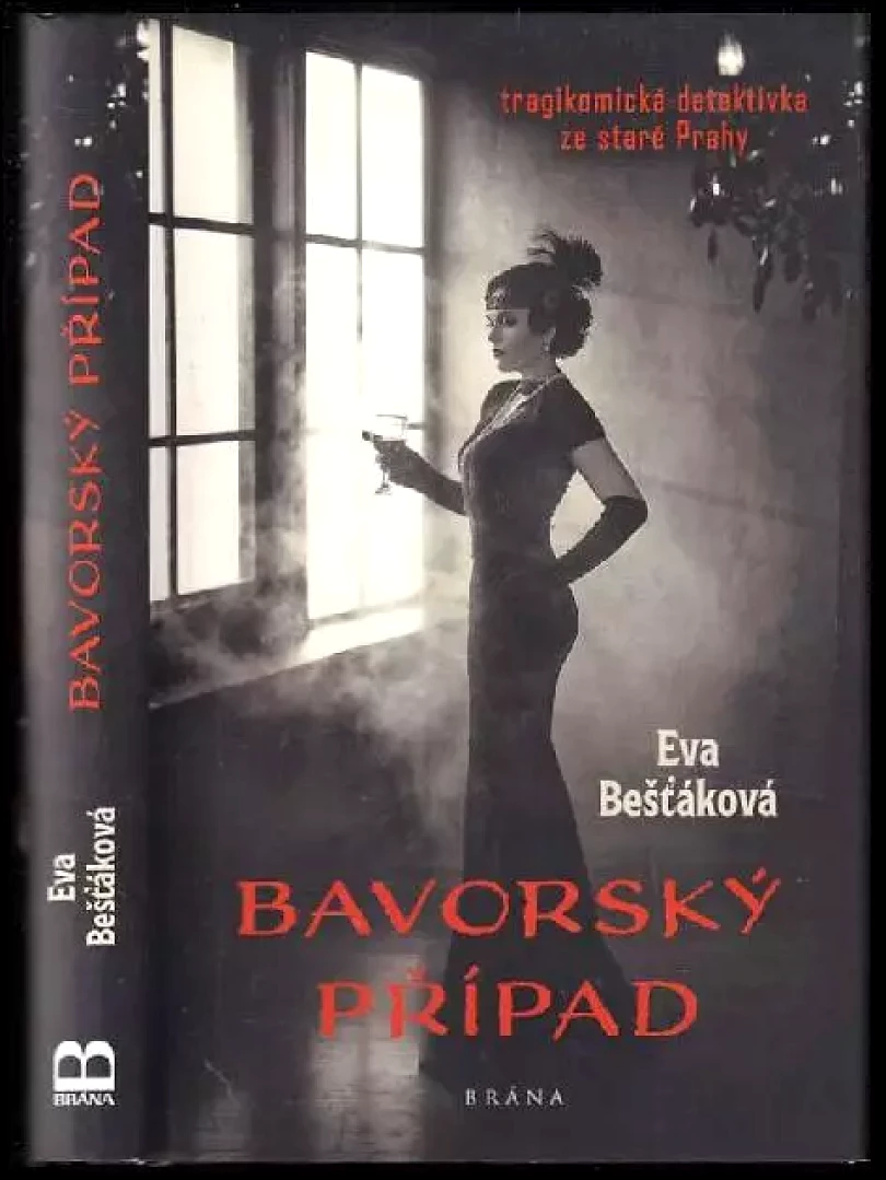 Bavorský případ (Eva Bešťáková, 2020)