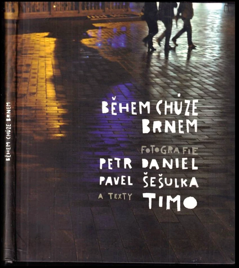 Během chůze Brnem (Petr Daniel, 2010)