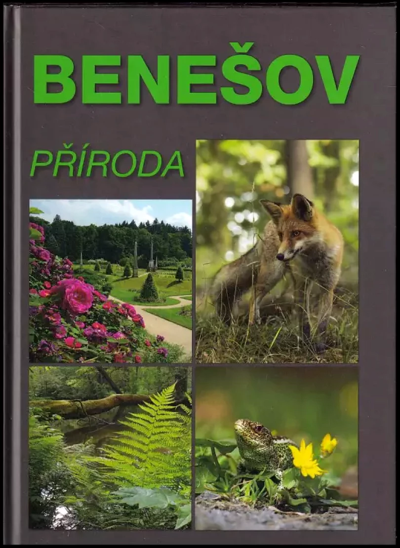 Benešov - příroda (Václav Kovařík, 2014)