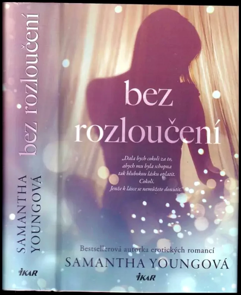 Levně Bez rozloučení (Samantha Young, 2019)