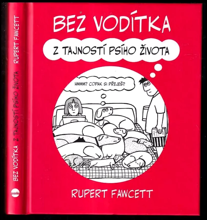 Bez vodítka (Rupert Fawcett, 2014)