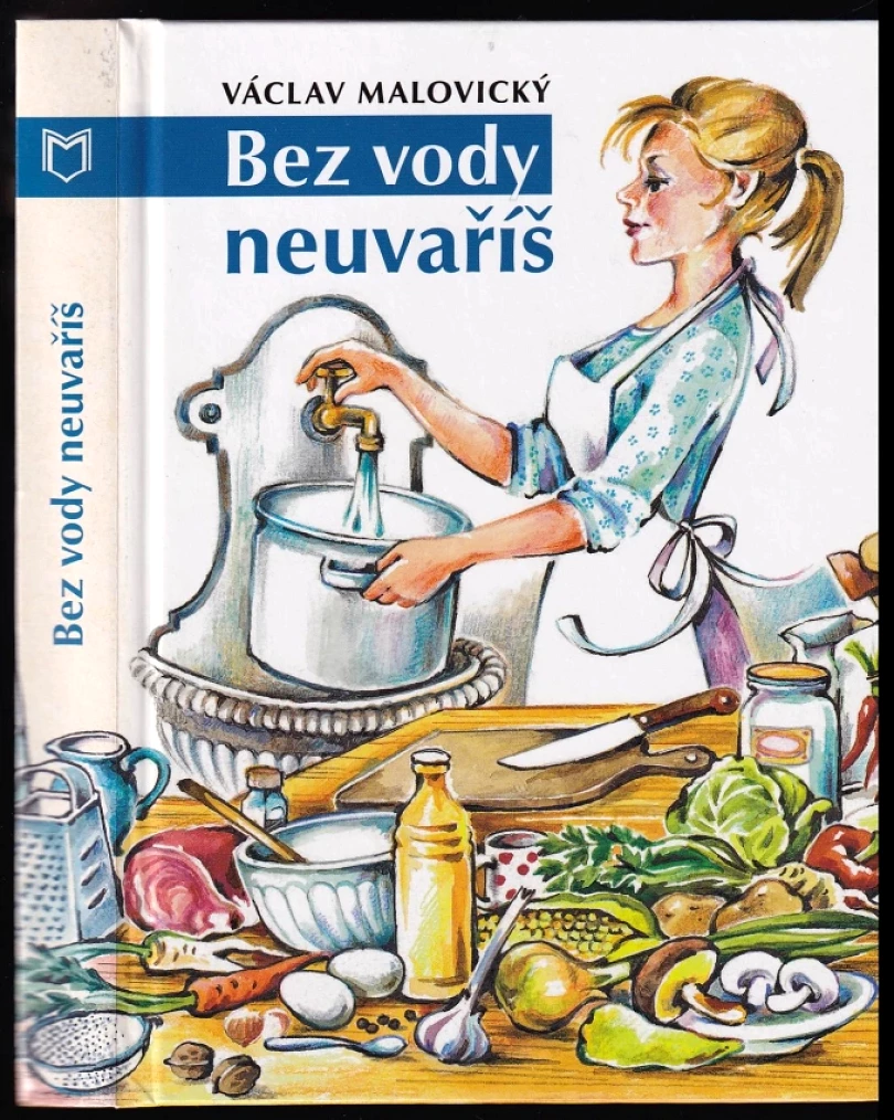 Levně Bez vody neuvaříš (Václav Malovický, 2013)