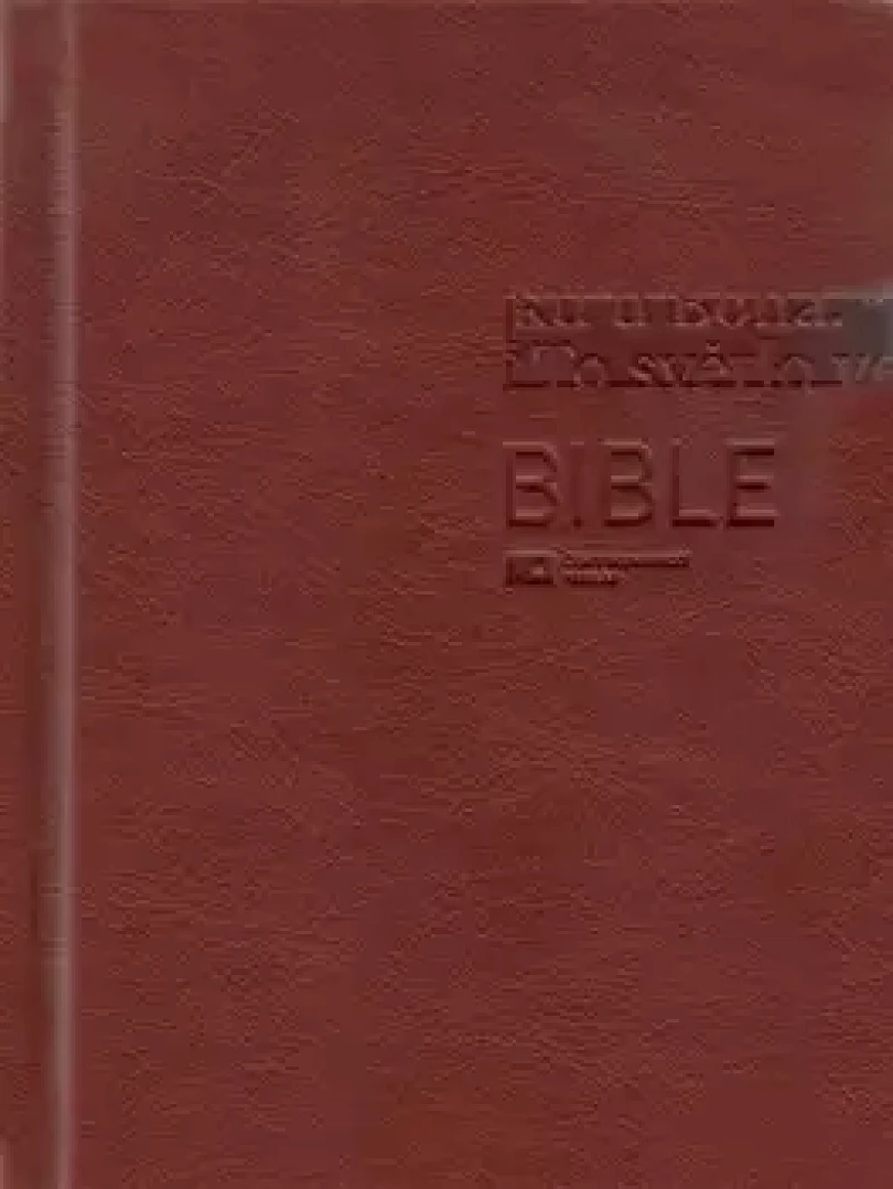 Bible 1293 hnědá (, 2024)