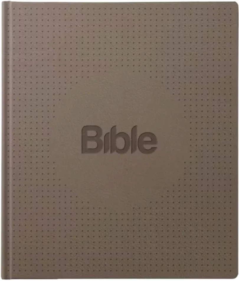 Levně Bible21 ilumina (Alexandr Flek, 2021)