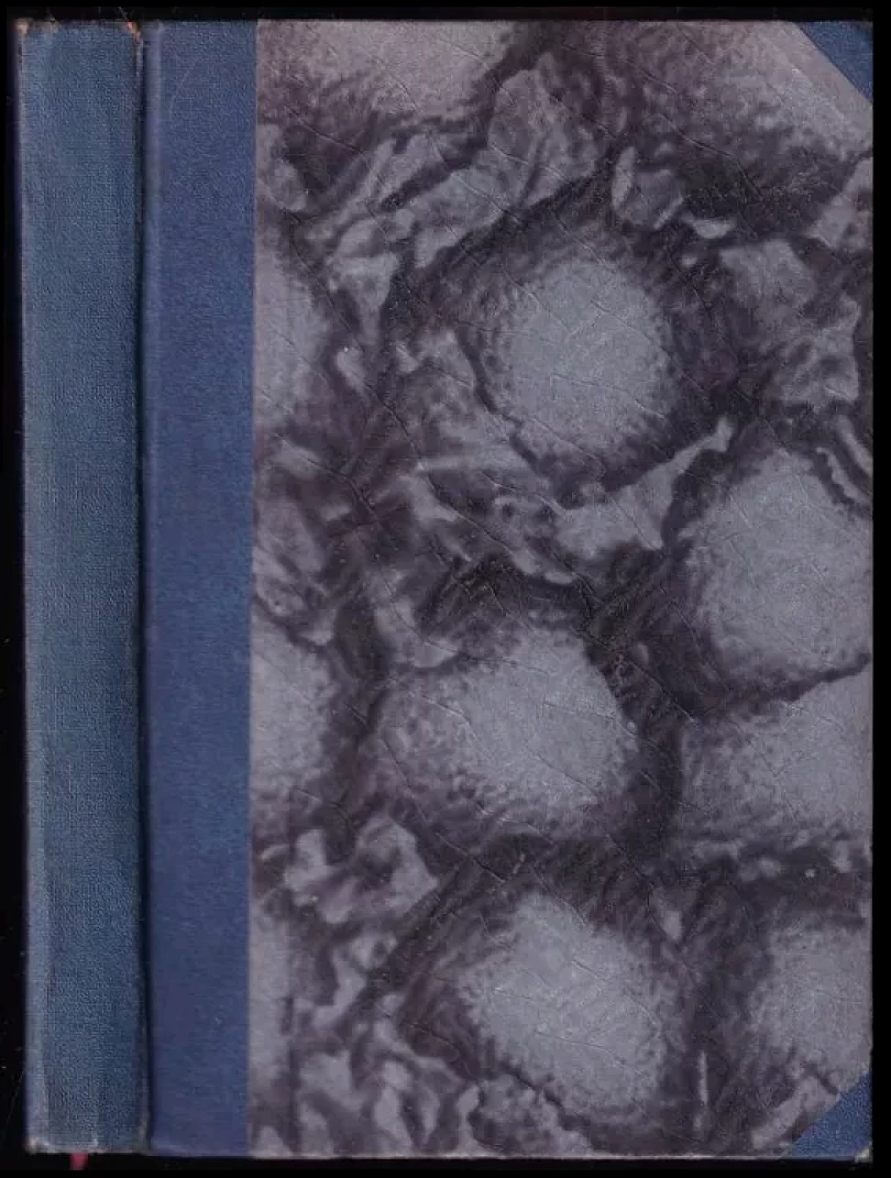 Levně Bídníci (Victor Hugo, 1928)