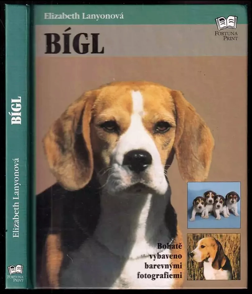 Levně Bígl (Elizabeth Lanyon, 2001)